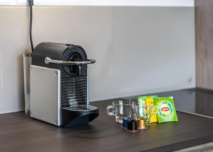 La Pepite - Appt En Hypercentre Au Calme, Terrasse Et Garage - Res Meyer Lägenhet *