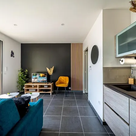 Apartment La Pepite - Appt En Hypercentre Au Calme, Terrasse Et Garage - Res Meyer